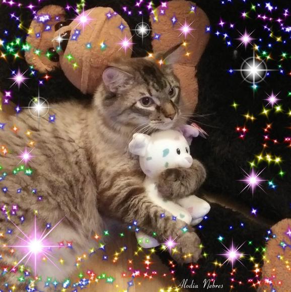 Meet your Posher, Christine - Picture 1 of 1